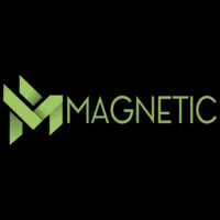 Magnetic Control