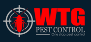 Ant control singapore