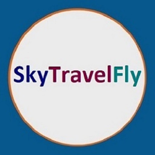Skytravelfly