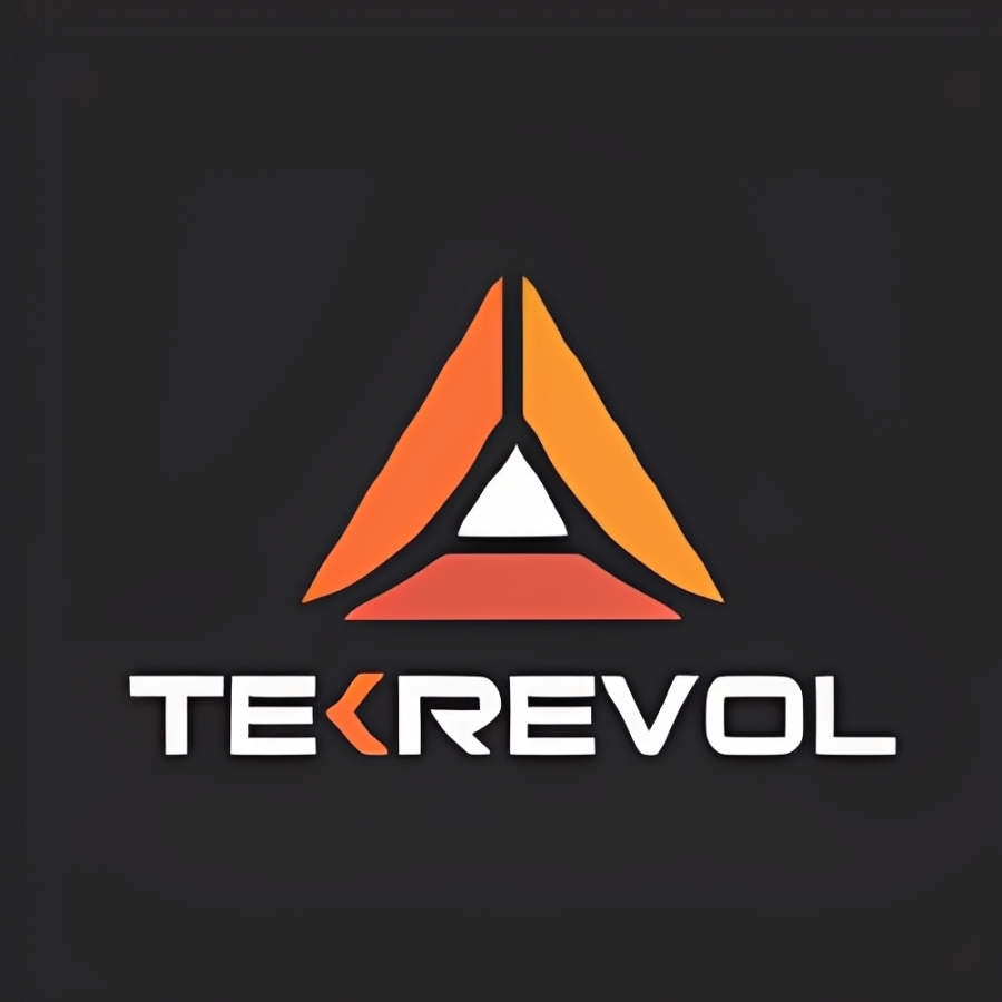 TekRevol Custom Web development services