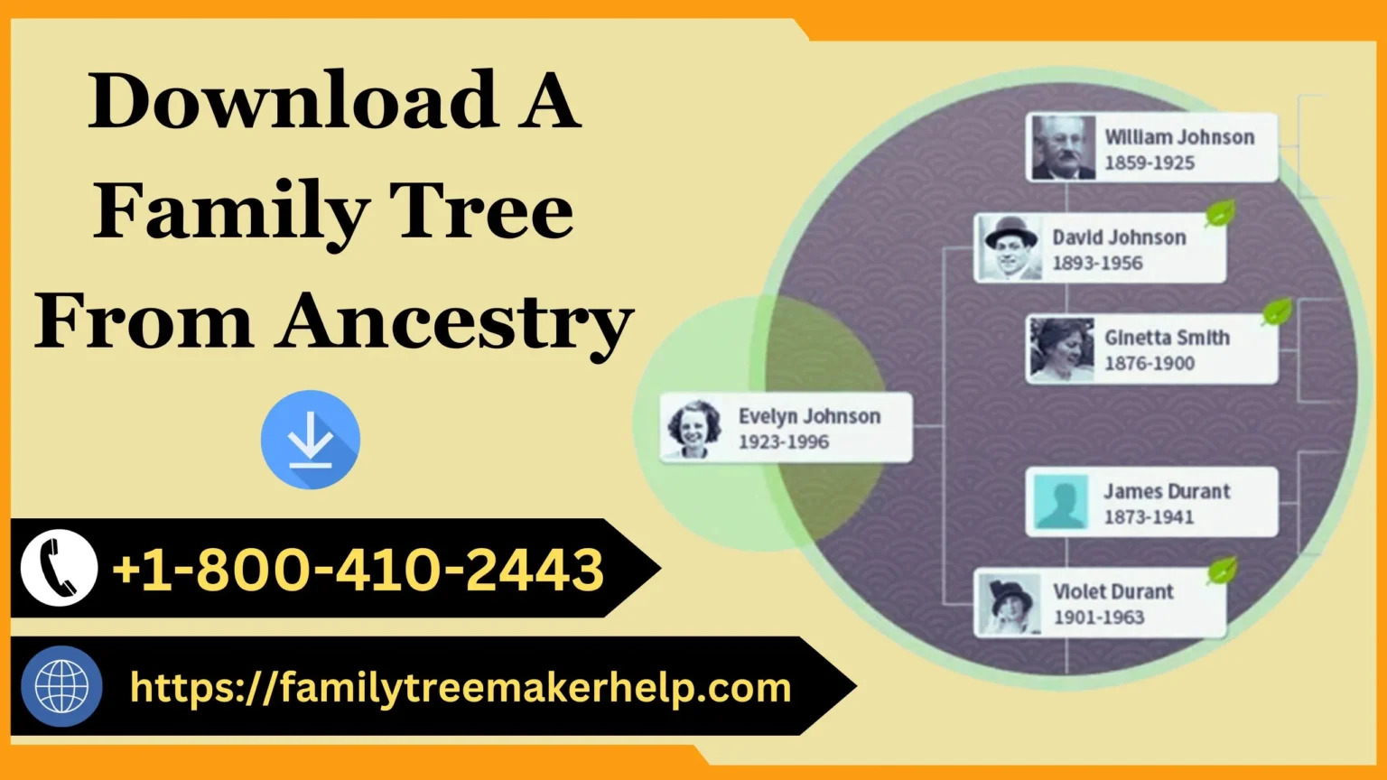 Ancestry Family Tree Download