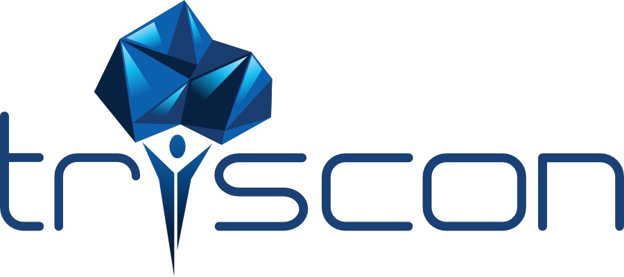 triscon IT-Services GmbH