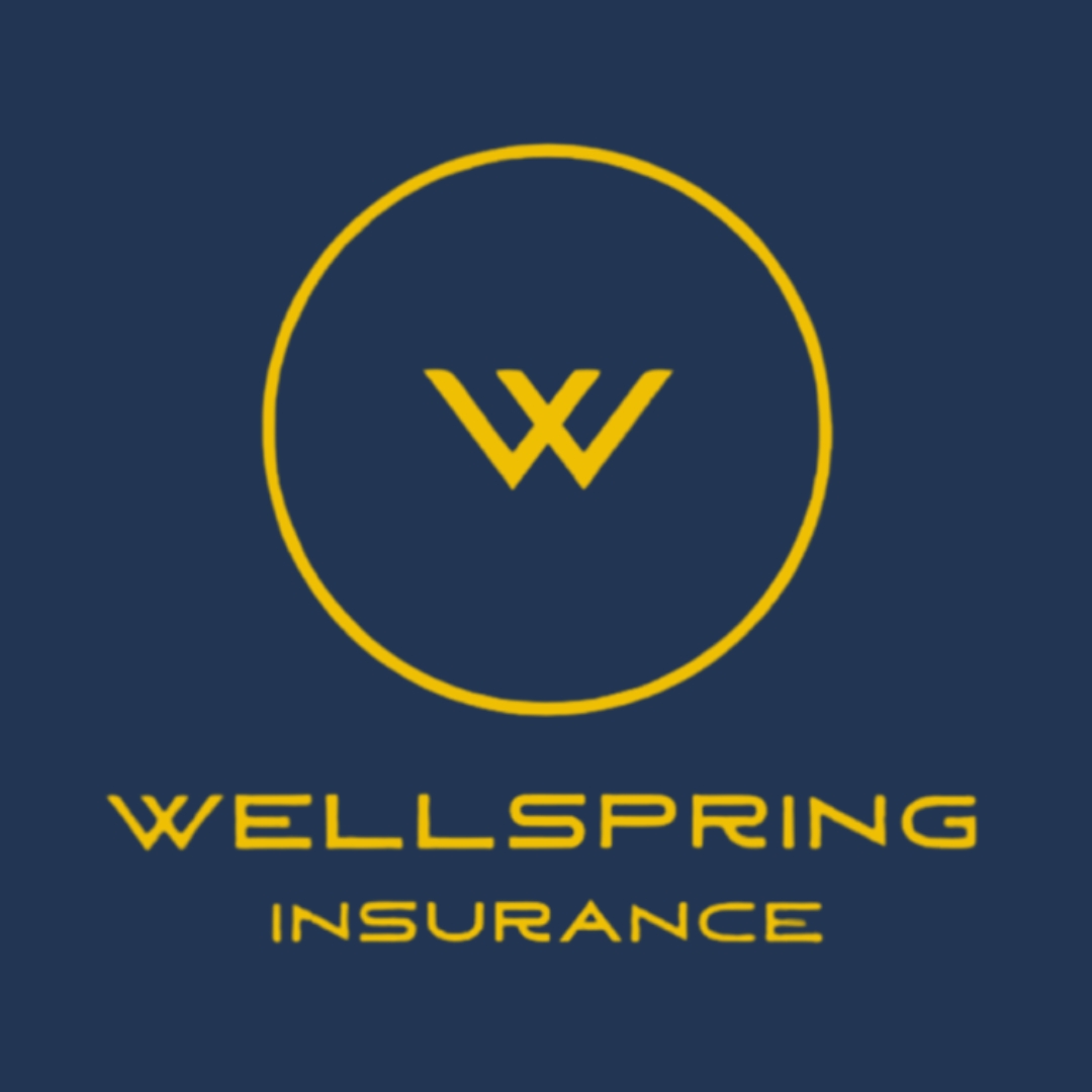 Wellspring Insurance Benefits